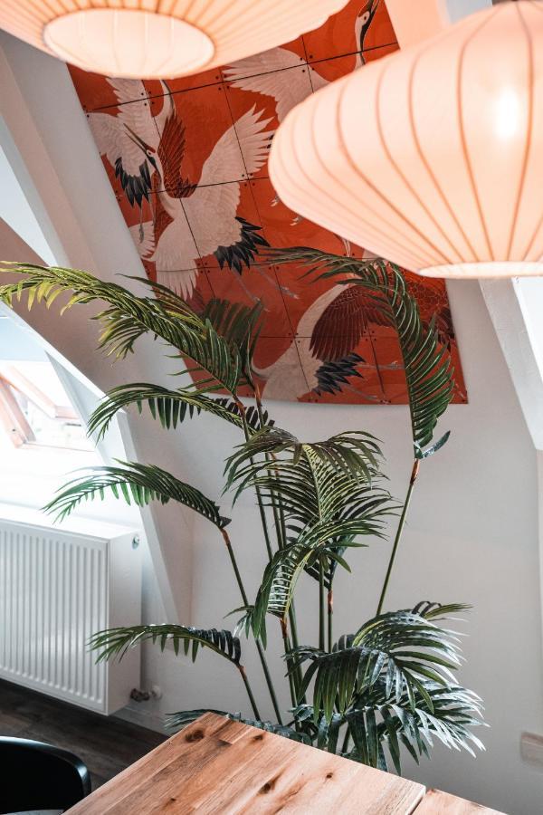 Apartament Casa Coral - A Hidden Gem For Families Groningen Zewnętrze zdjęcie